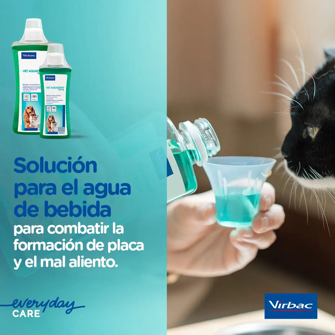 Virbac Veggie Dent Fr3sh Individual (Caja)