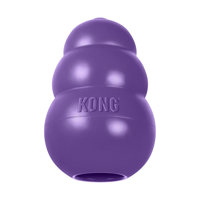 Kong senior