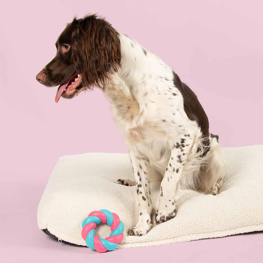 Brinquedo Cão Coockoo MALLOW RING - Azul & Rosa