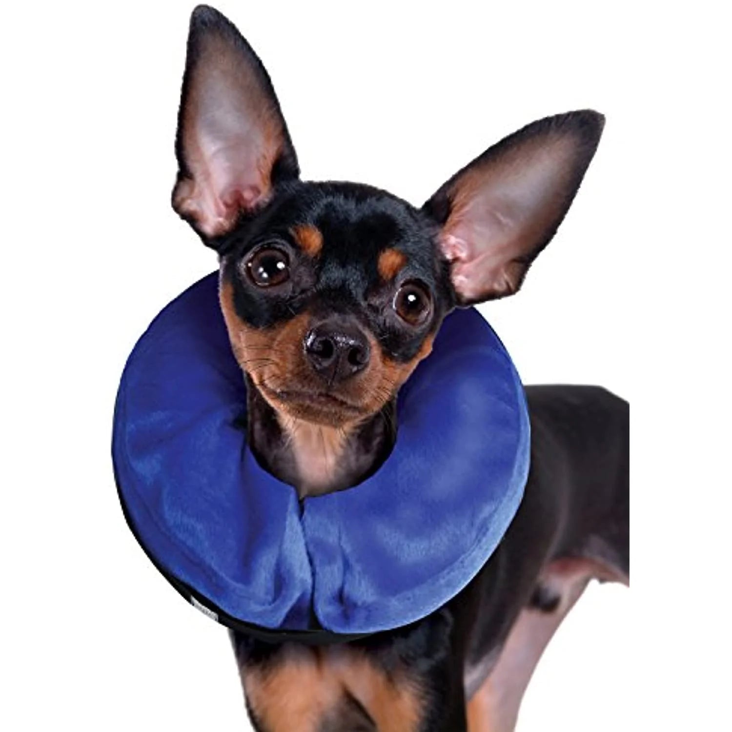 KONG Indestructible Collar
