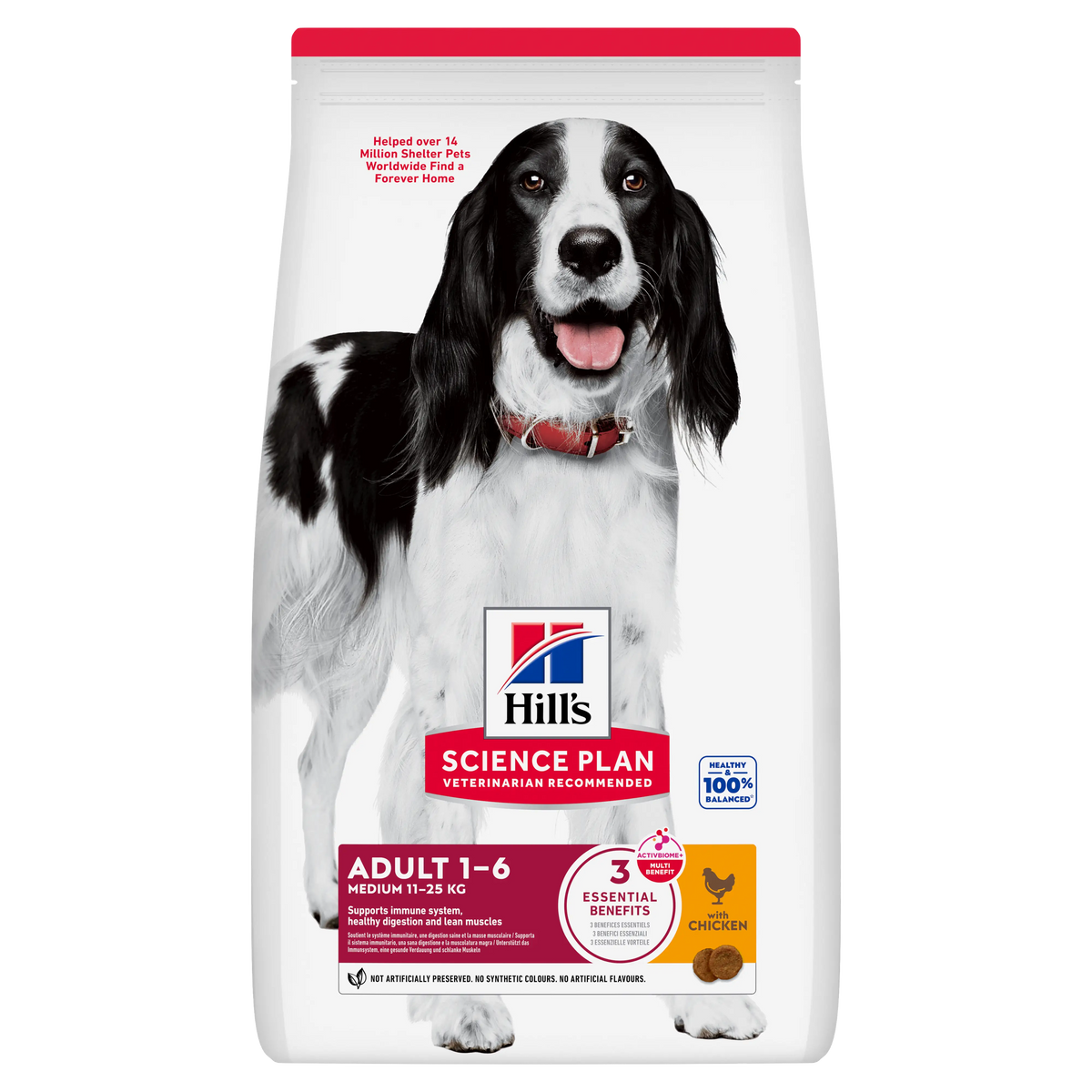 Hill's Science Plan Medium Adult 1-6 com Frango