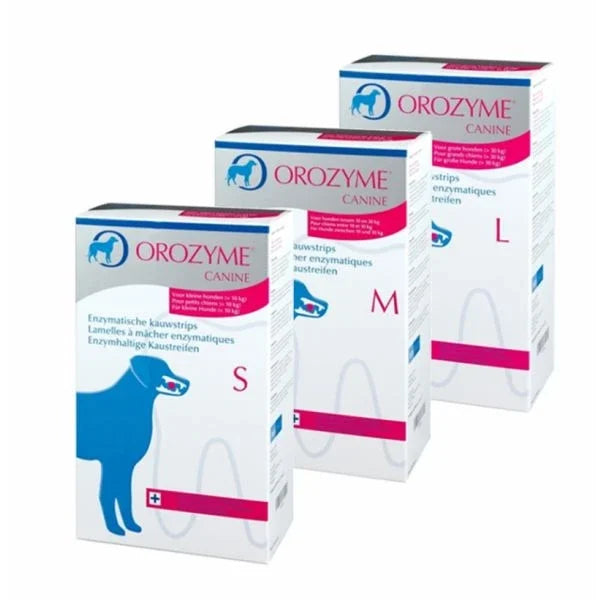 Orozyme Dental Paste 70g
