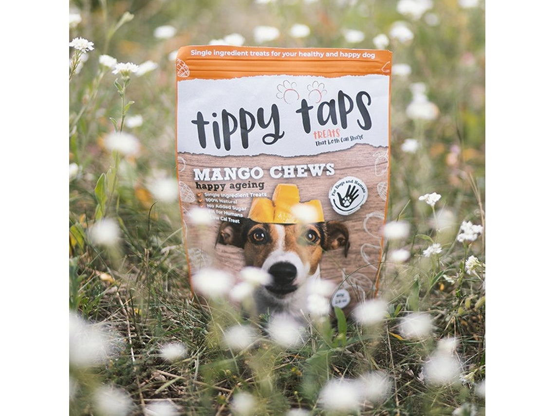 Tippy Taps Dried Fruit Snack