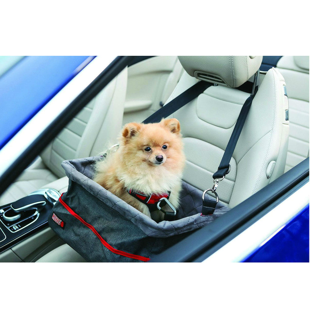 KONG Travel Banco elevatório para cão