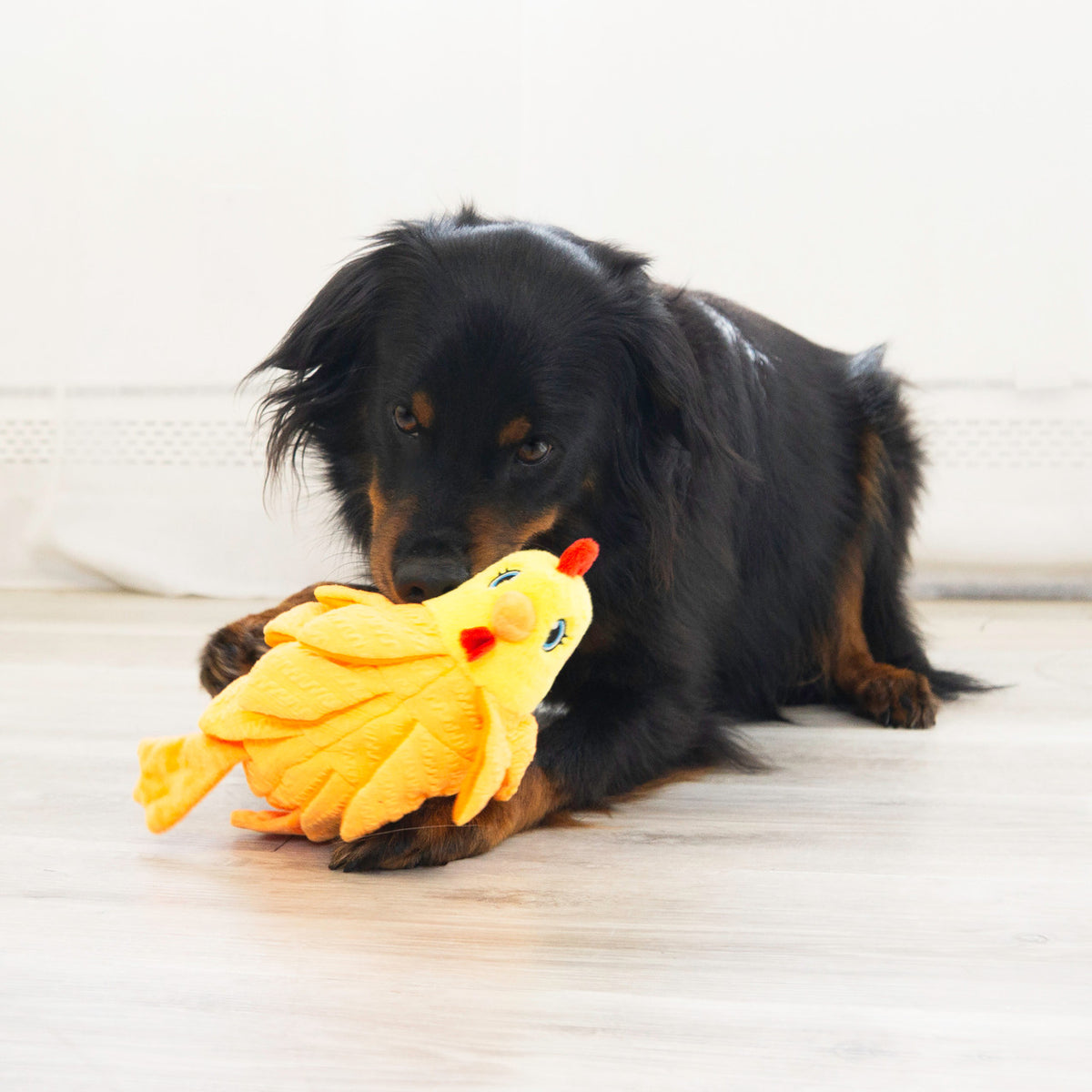 KONG Layerz Forage - Chicken hiding treats