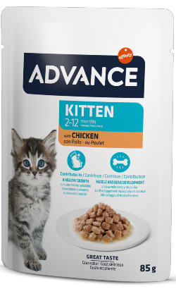 Advance Cat Kitten Chicken | Wet (Saqueta) | Caixa 12 Saquetas 85 g - DOGGIE STORE