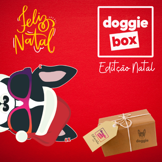 Box Natal - Gatos - Edição especial