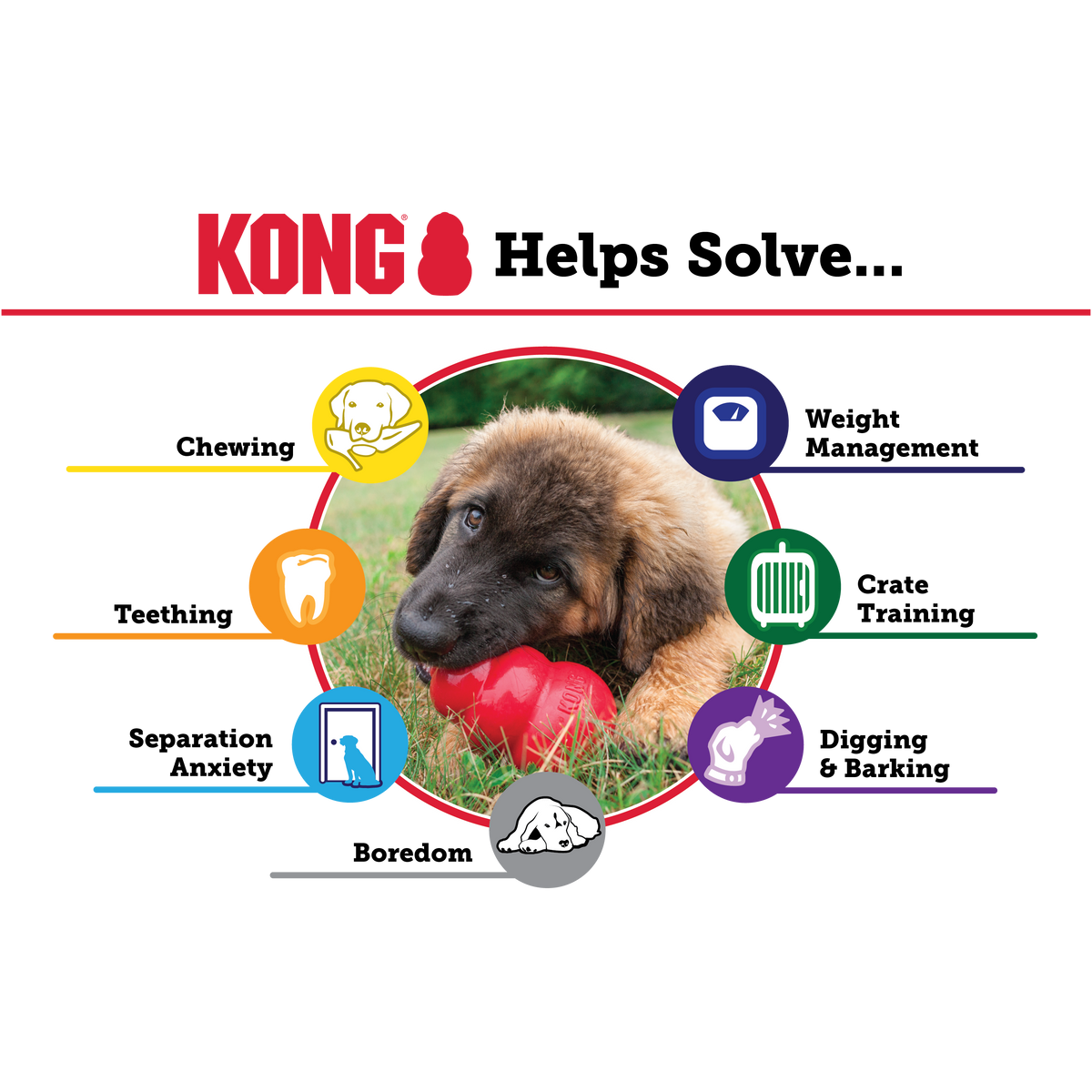 Kong Extreme