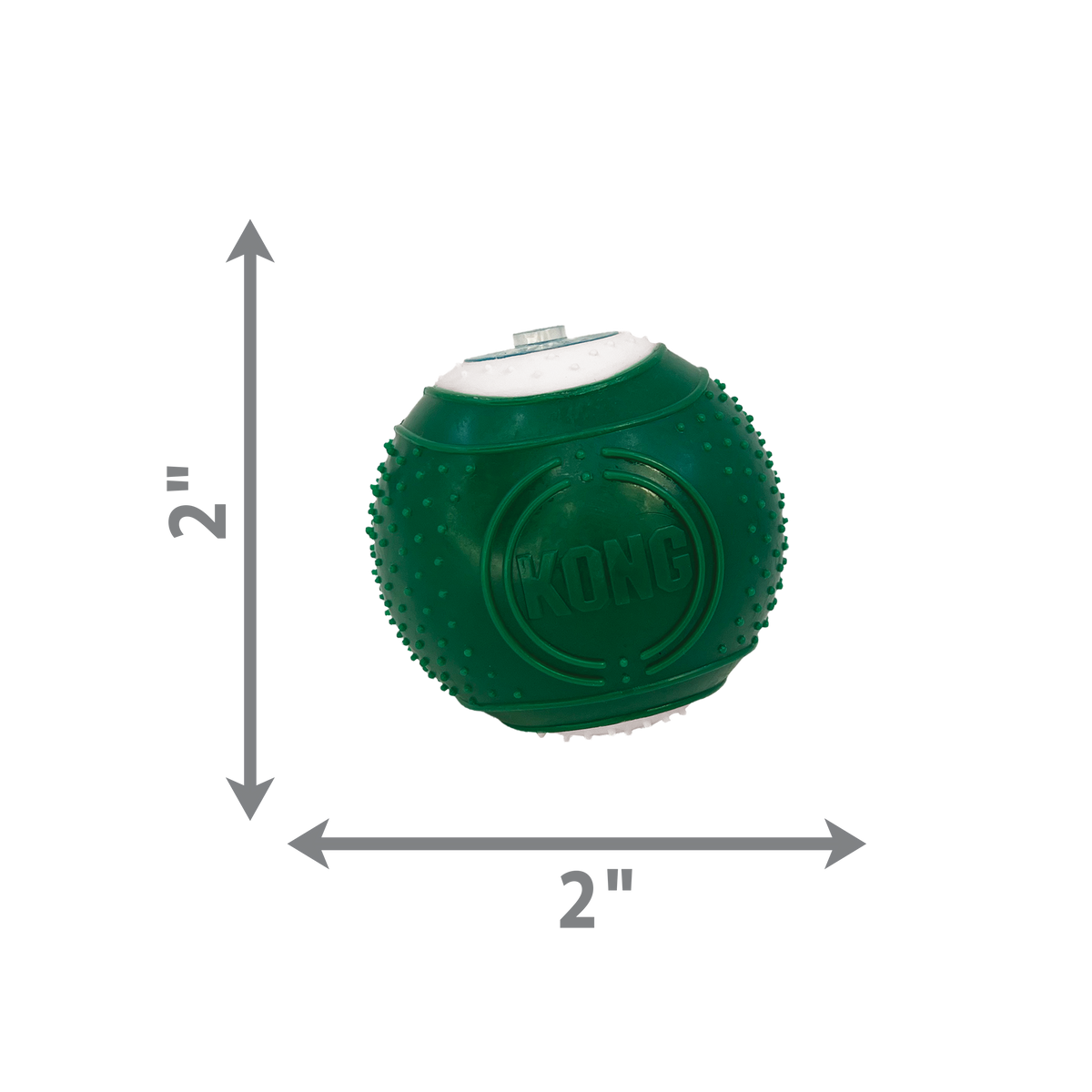 Kong Dental Kit