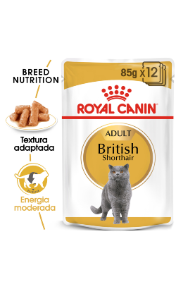 Royal Canin Cat British Shorthair Adult | Wet (Saqueta) | 12 x 85 g