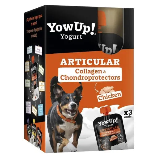 Joint Yoghurt with Chicken - 3x115 gr.