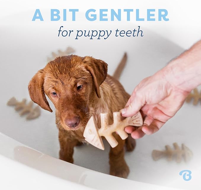 Benebone Fishbone – Brinquedo de Mastigação para Cães - Mais Macio para Cachorros Pk 2