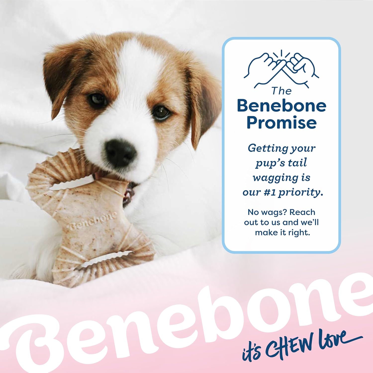 Pack Brinquedo de mastigar Dental Chew e Wishbone sabor bacon para cachorro