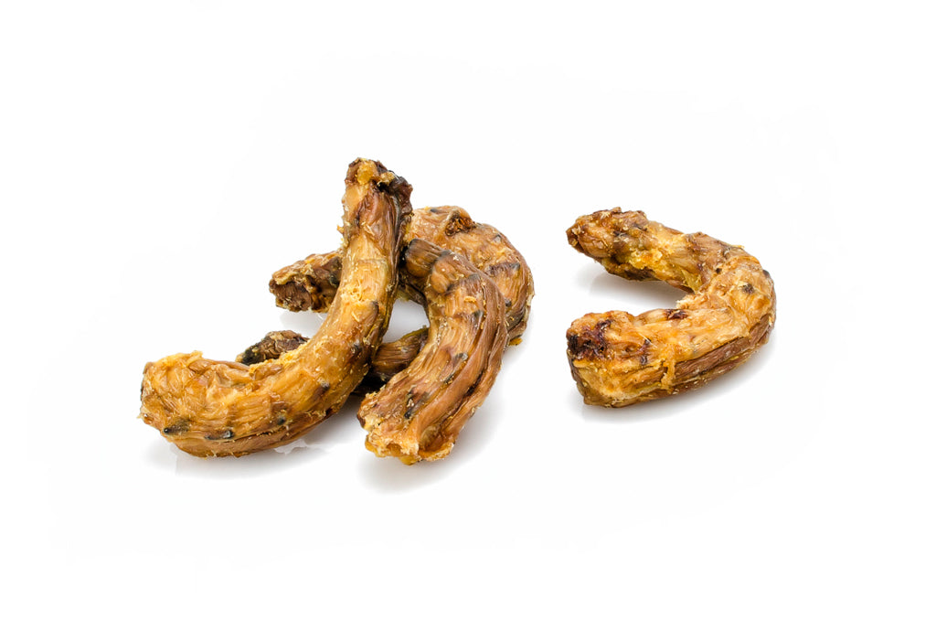 Pescoço de Pato 150g - DOGGIE STORE