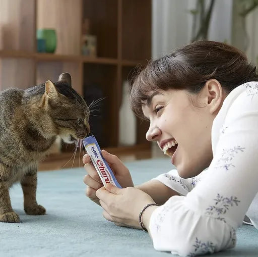 Snack líquido de frango com gambas para gatos - Churu