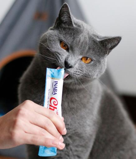 Snack líquido de atum com vieira para gatos - Churu