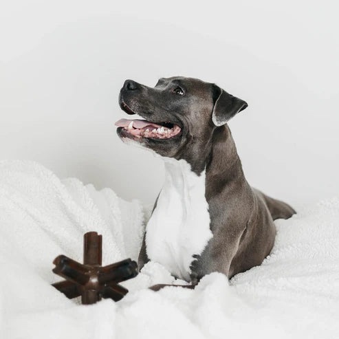 Juguete para perros - Hueso para frotar