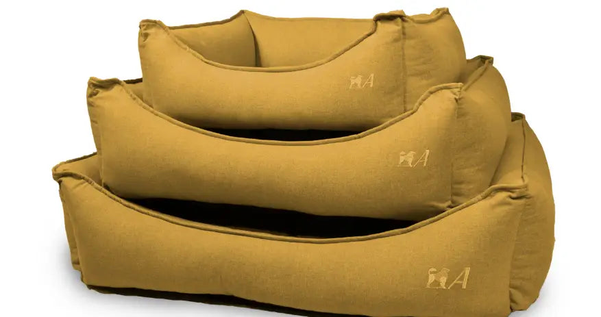 Agui Cama Misty Amarelo Mostarda