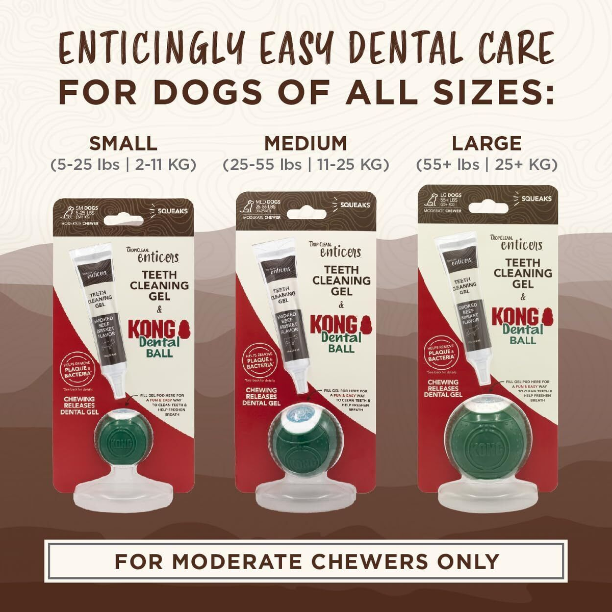 Kong Dental Kit