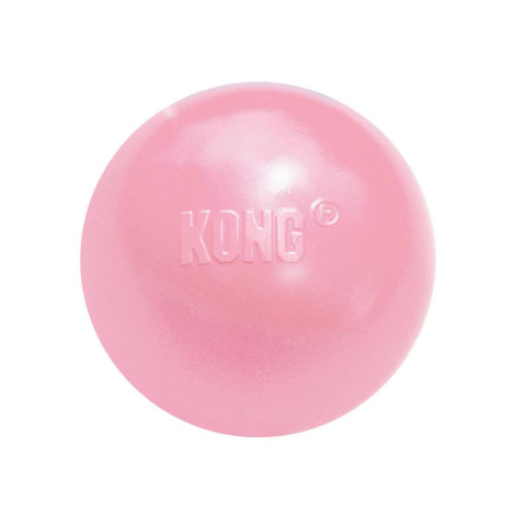 Kong puppy ball