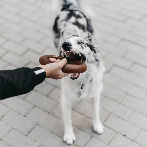 Brinquedo para cães - Rub Bite