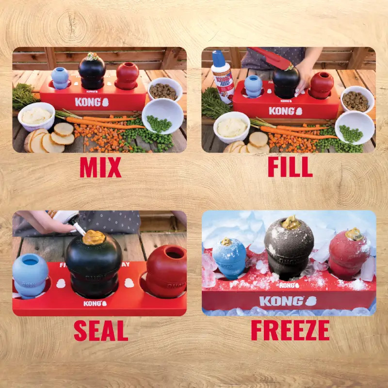 Kong fill or freeze tray