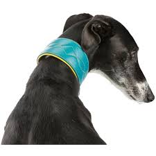 COLEIRA EM PELE "ACTIVE COMFORT" PARA GALGO