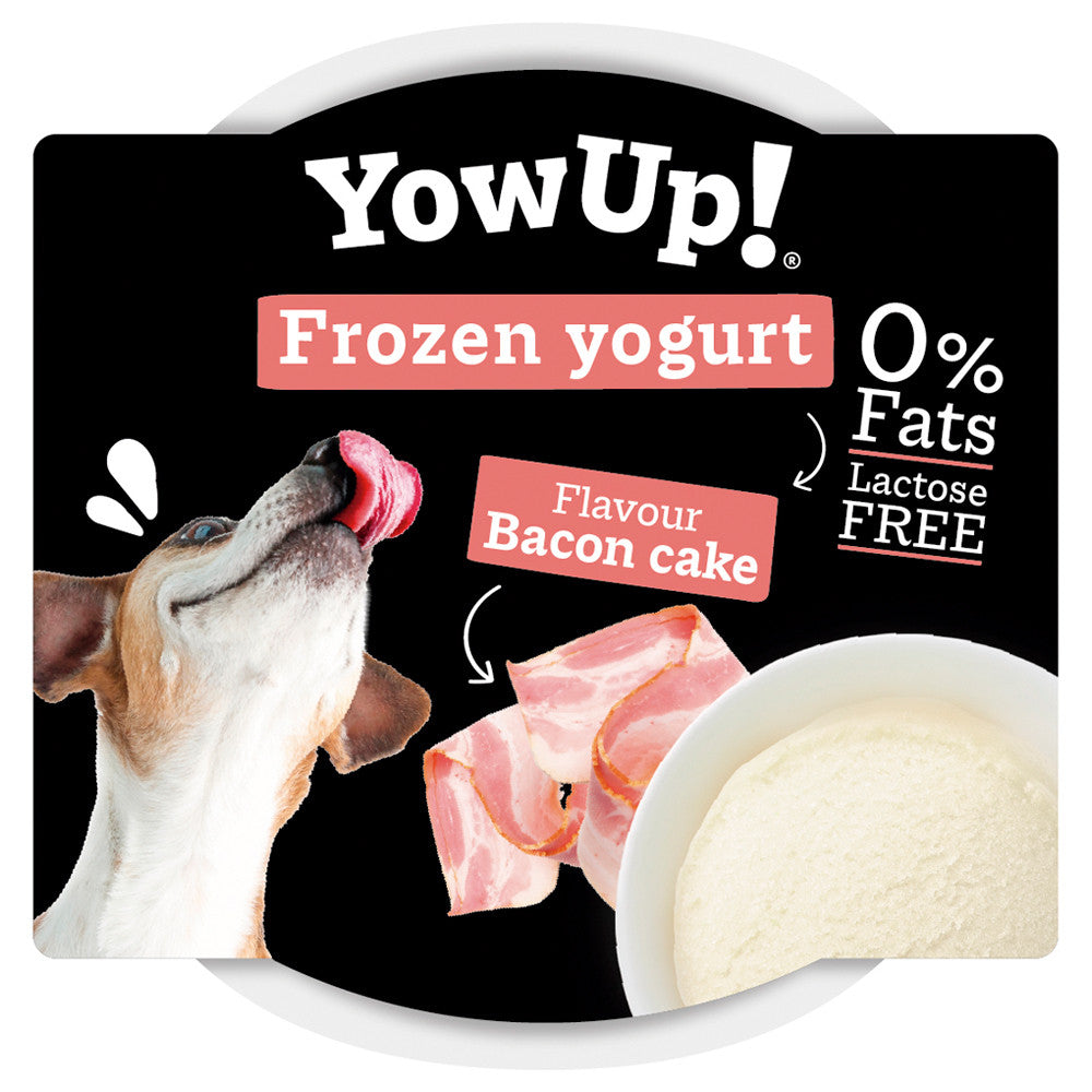 Yogur helado de tocino para perros - YowUp!