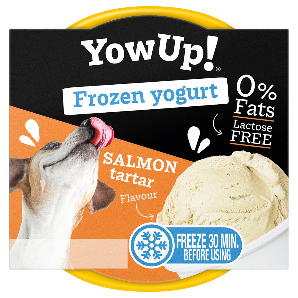 Yogur helado de salmón para perros - YowUp!