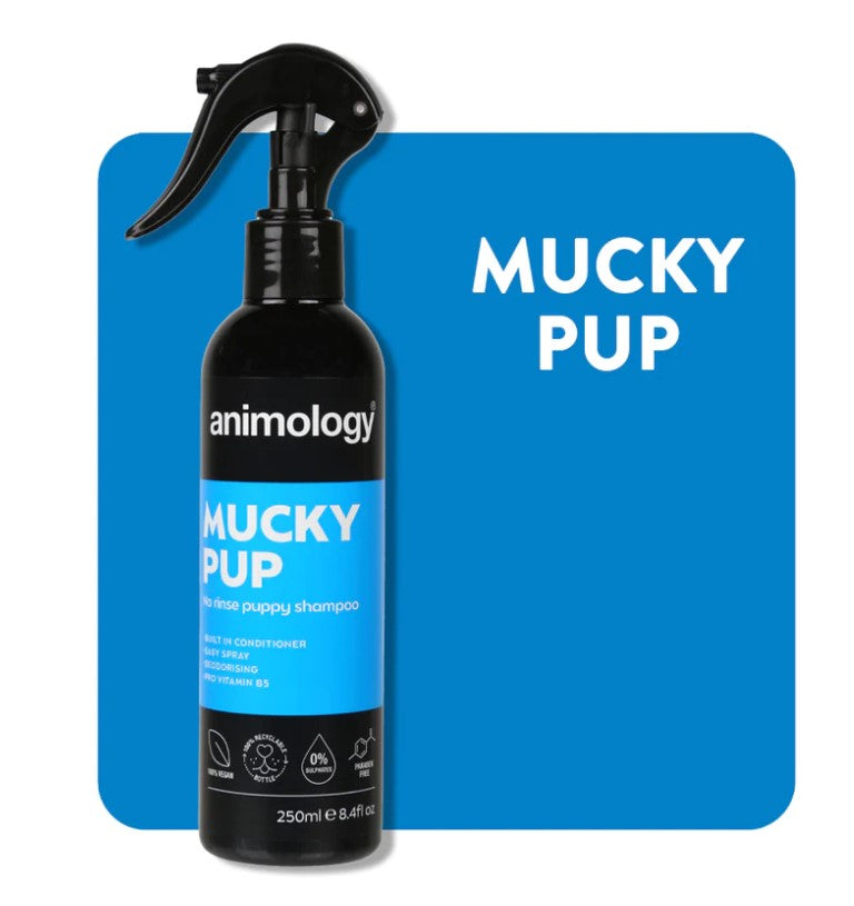 Animology Champô Seco Mucky Pup No Rinse para Cachorros | 250ml