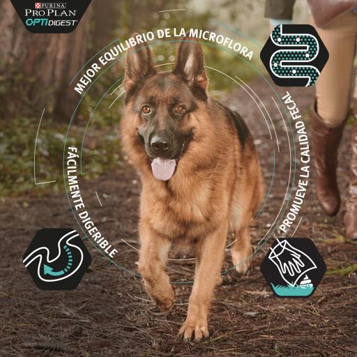 Pro Plan Dog OptiDigest Medium Adult Sensitive Digestion Lamb - Ração seca para cão adulto médio com sensibilidade digestiva - Borrego