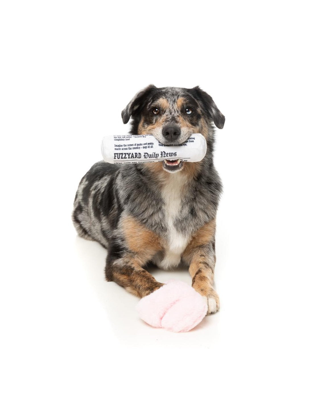 Brinquedo para Cão FuzzYard - Perfect Match - Fetch My Slippers & Paper 2Pk