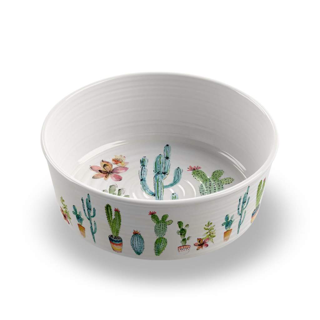 TH COMEDOURO CACTUS