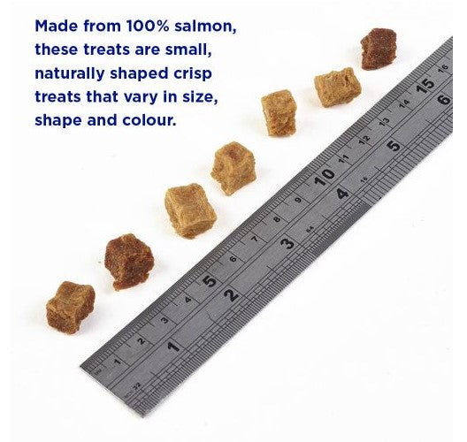 Fish4dogs Snacks Training Adulto Salmão Bites 80g