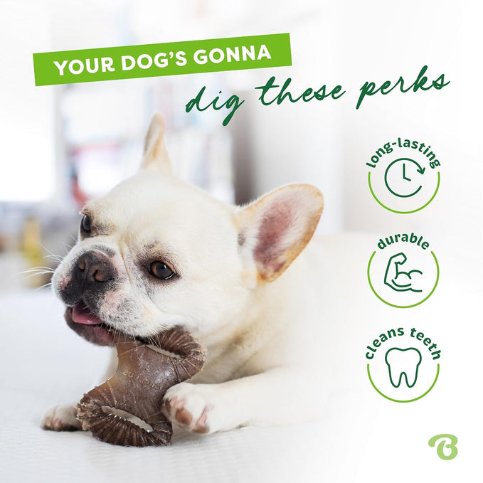 Benebone Tiny Pack de 2 – Brinquedos de Mastigação para Cães | Sabor Bacon