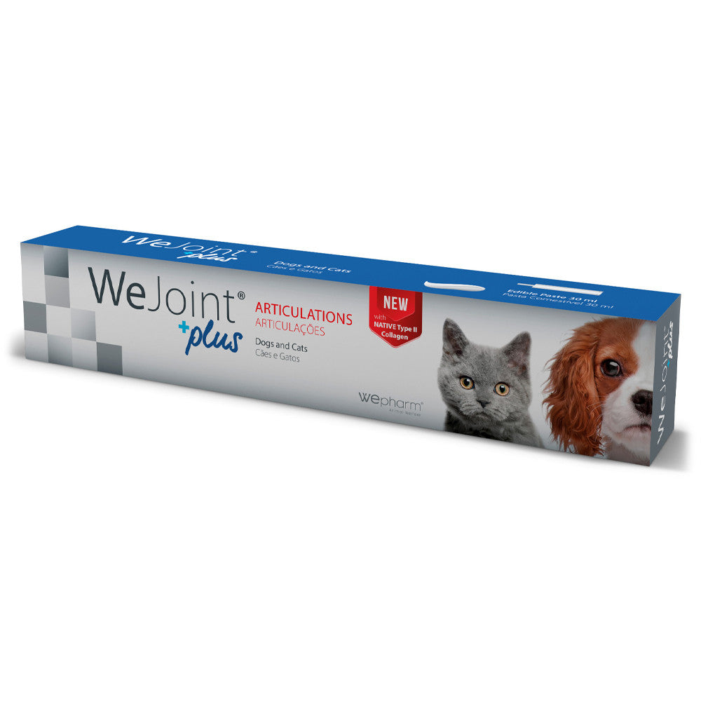 Wejoint Plus Paste | 30 ml