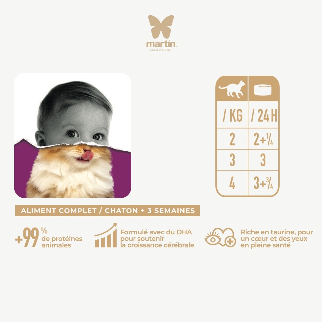 Martin Stewed Chicken & Ham - For Cat - 70g