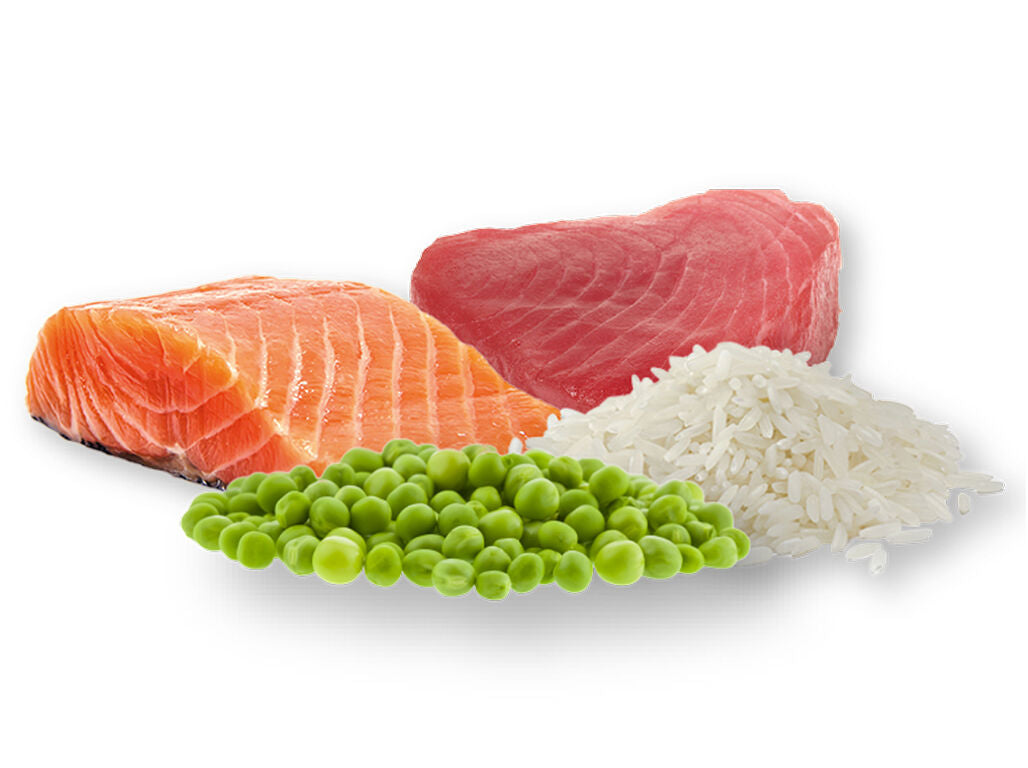 Petfield Tasty Snacks Salmon & Tuna | 100g