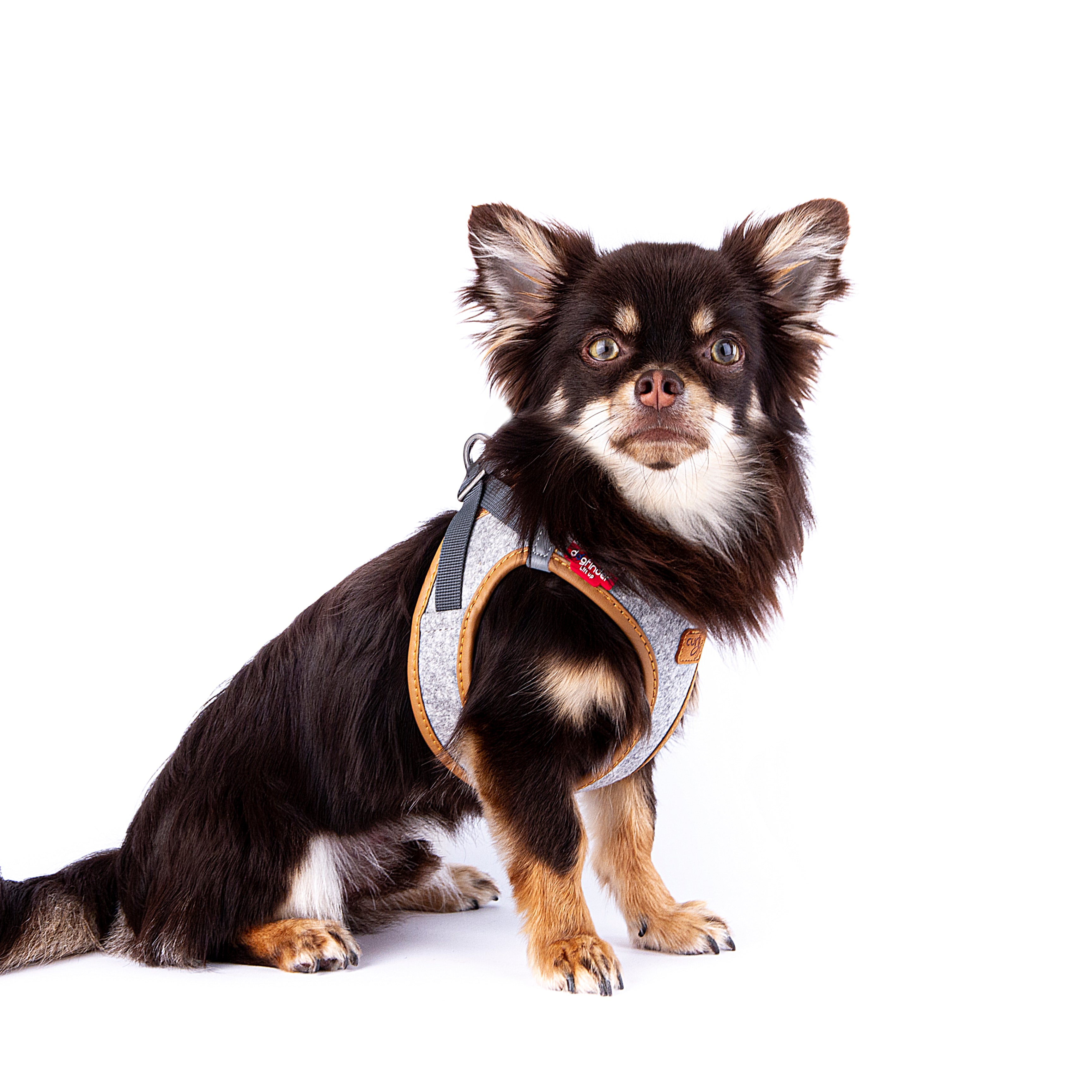 Peitoral Curli Clasp Alpine para cães
