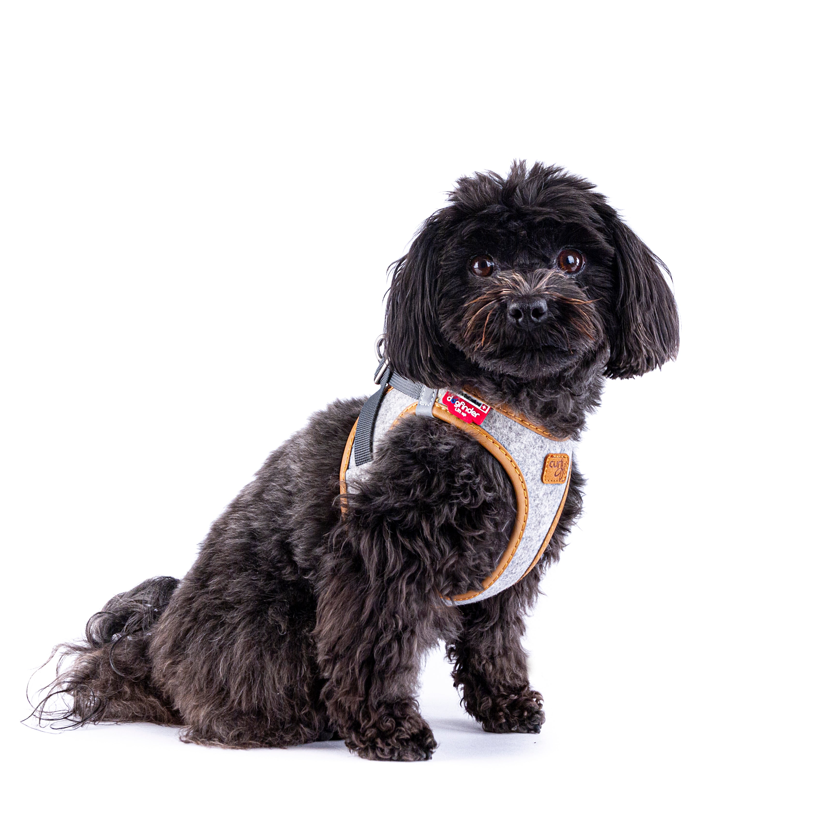 Peitoral Curli Clasp Alpine para cães