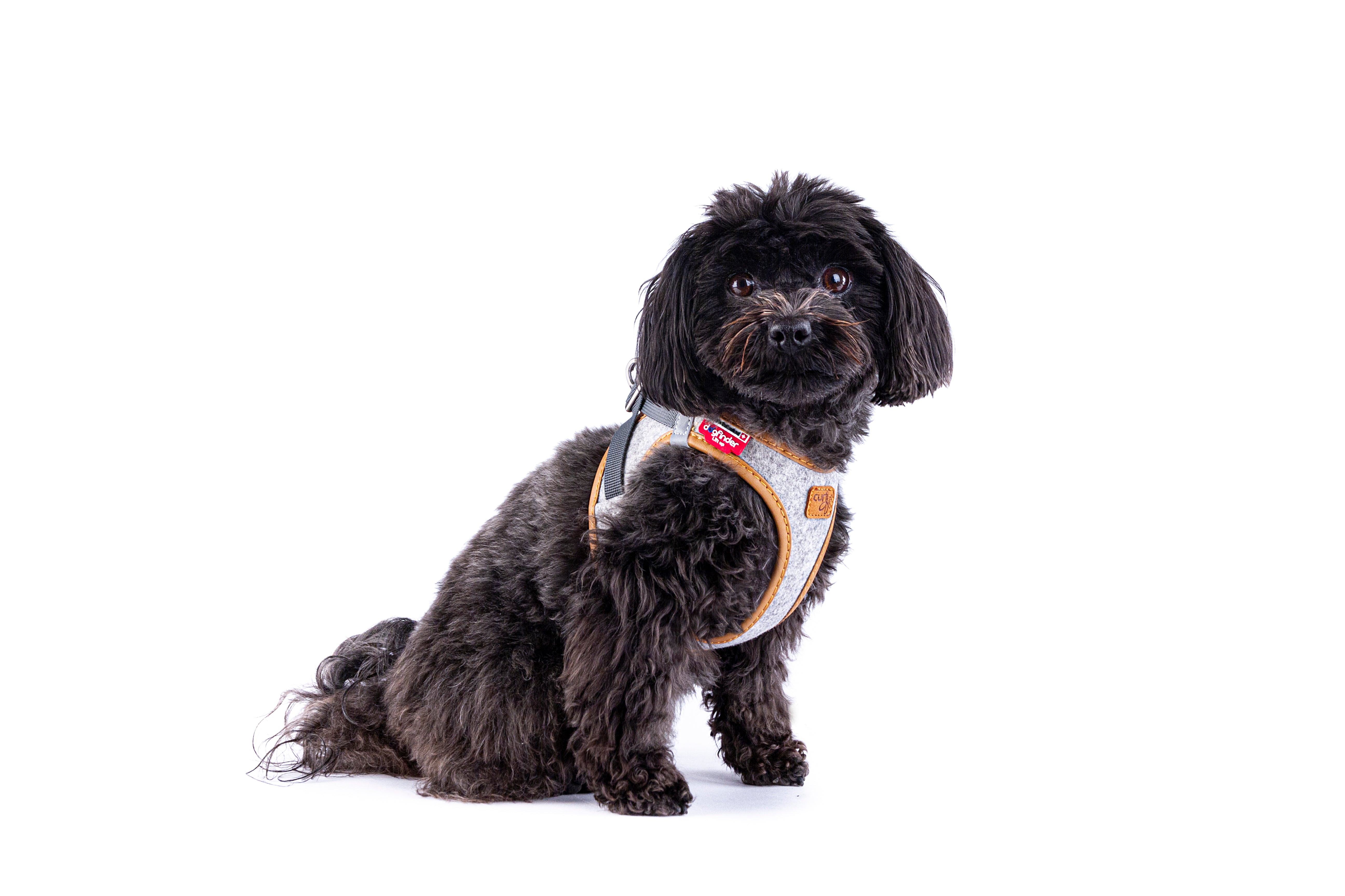 Peitoral Curli Clasp Alpine para cães