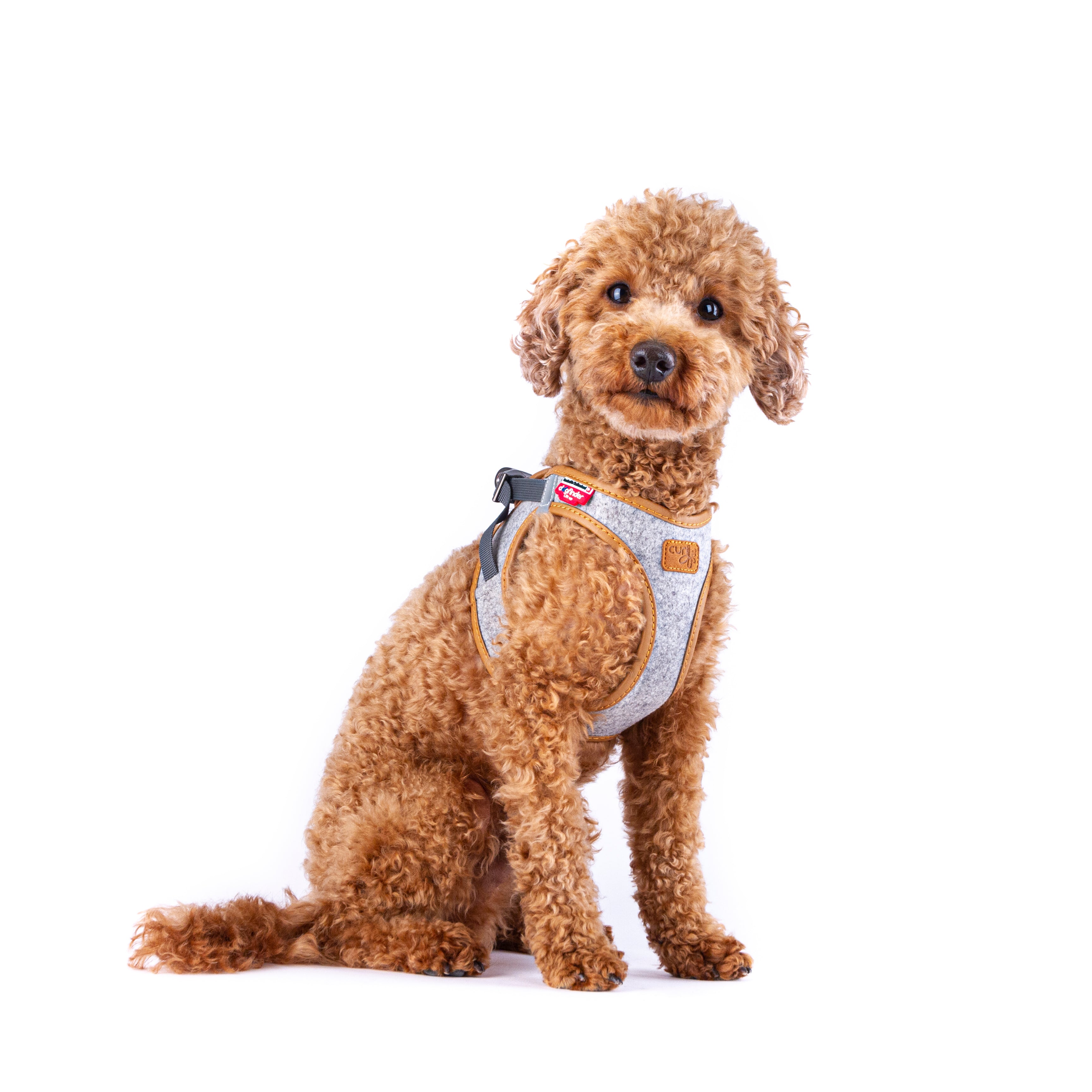 Peitoral Curli Clasp Alpine para cães