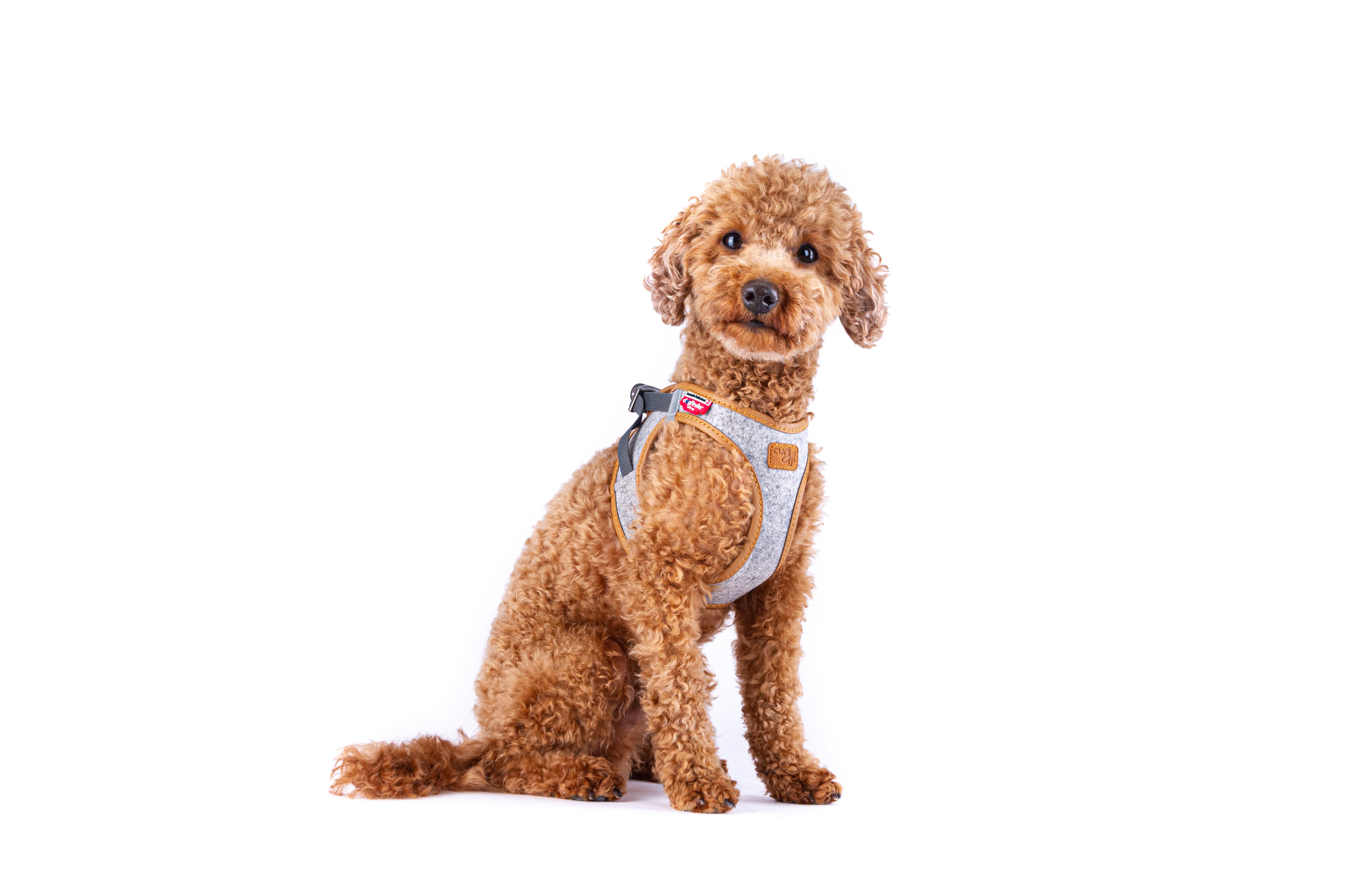 Peitoral Curli Clasp Alpine para cães