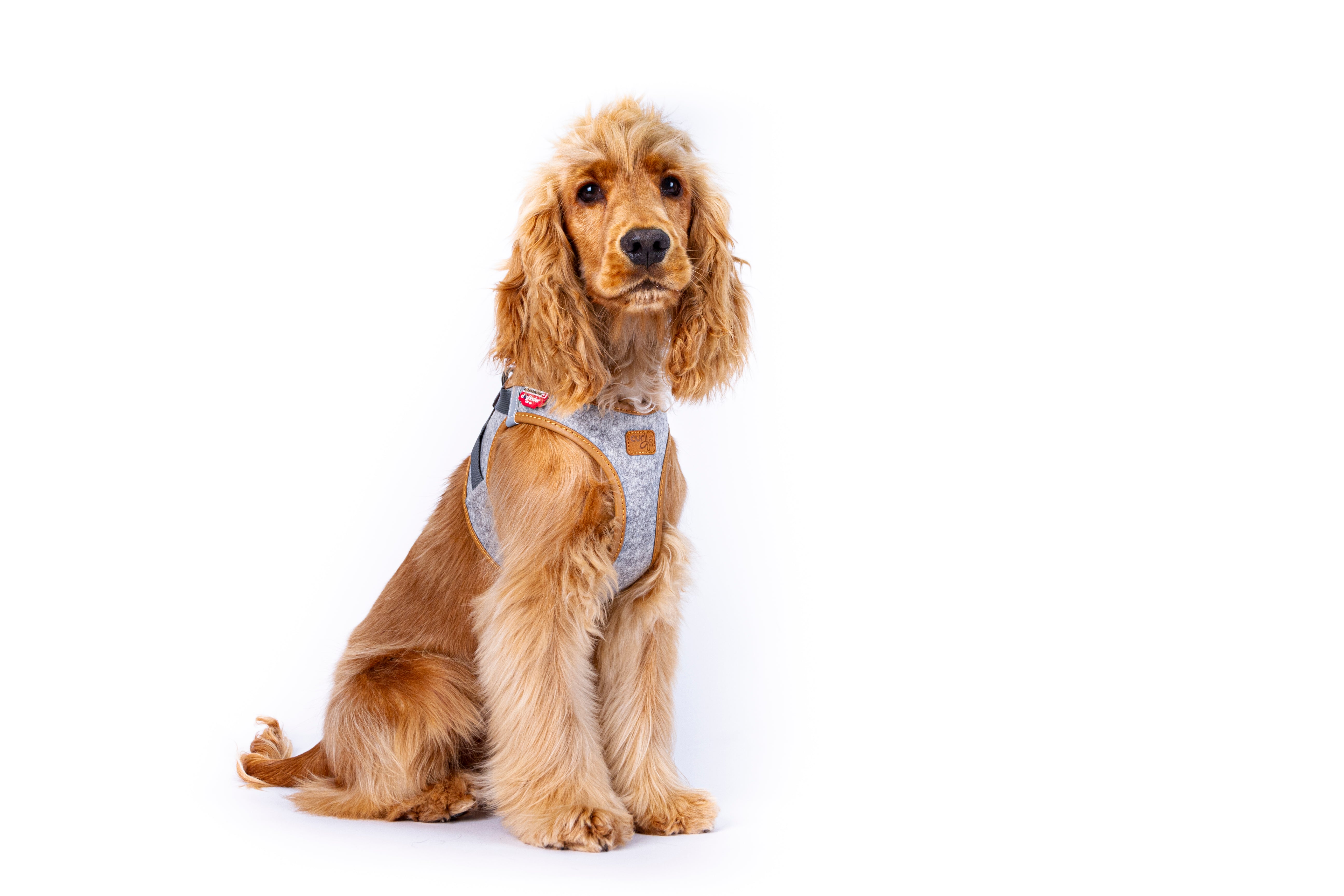 Peitoral Curli Clasp Alpine para cães