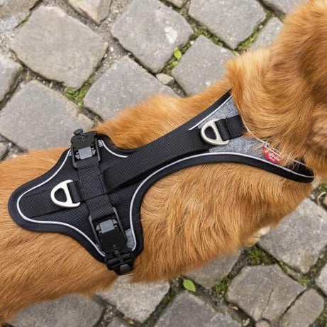 CURLI BELKA COMFORT MAGNETIC HARNESS