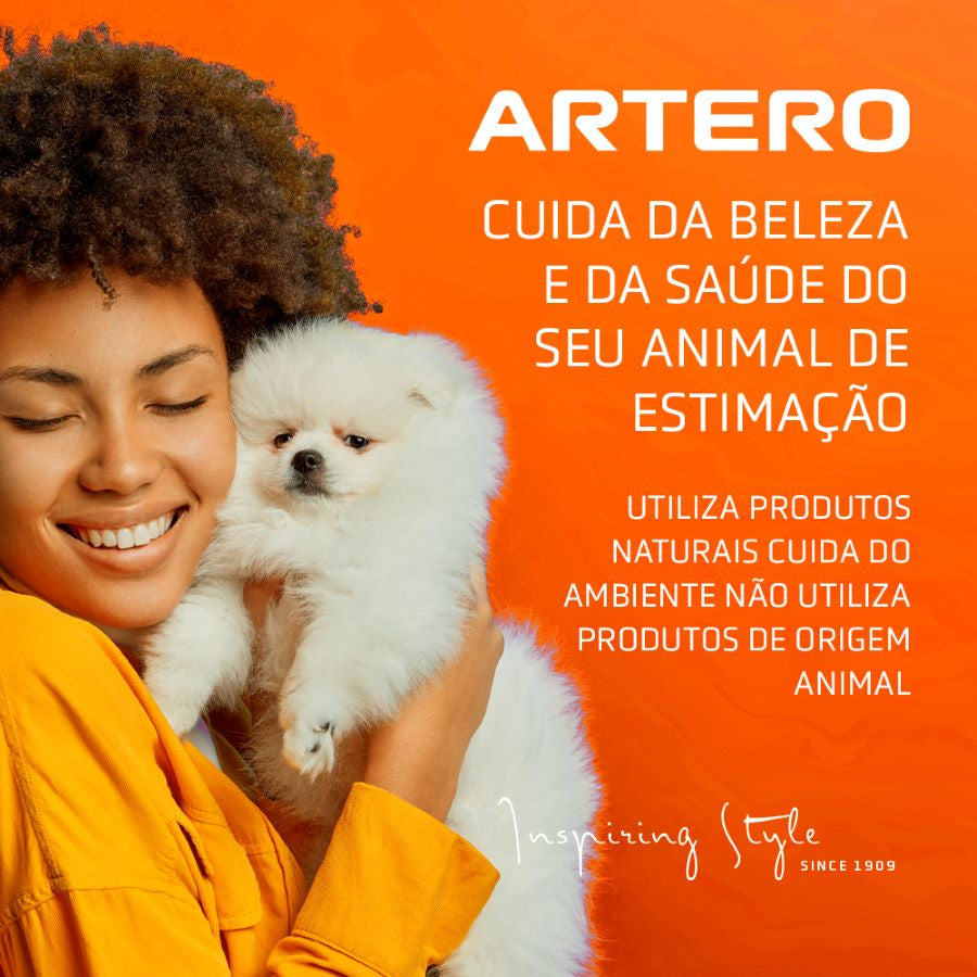 Artero Champô seco Speed 300ml