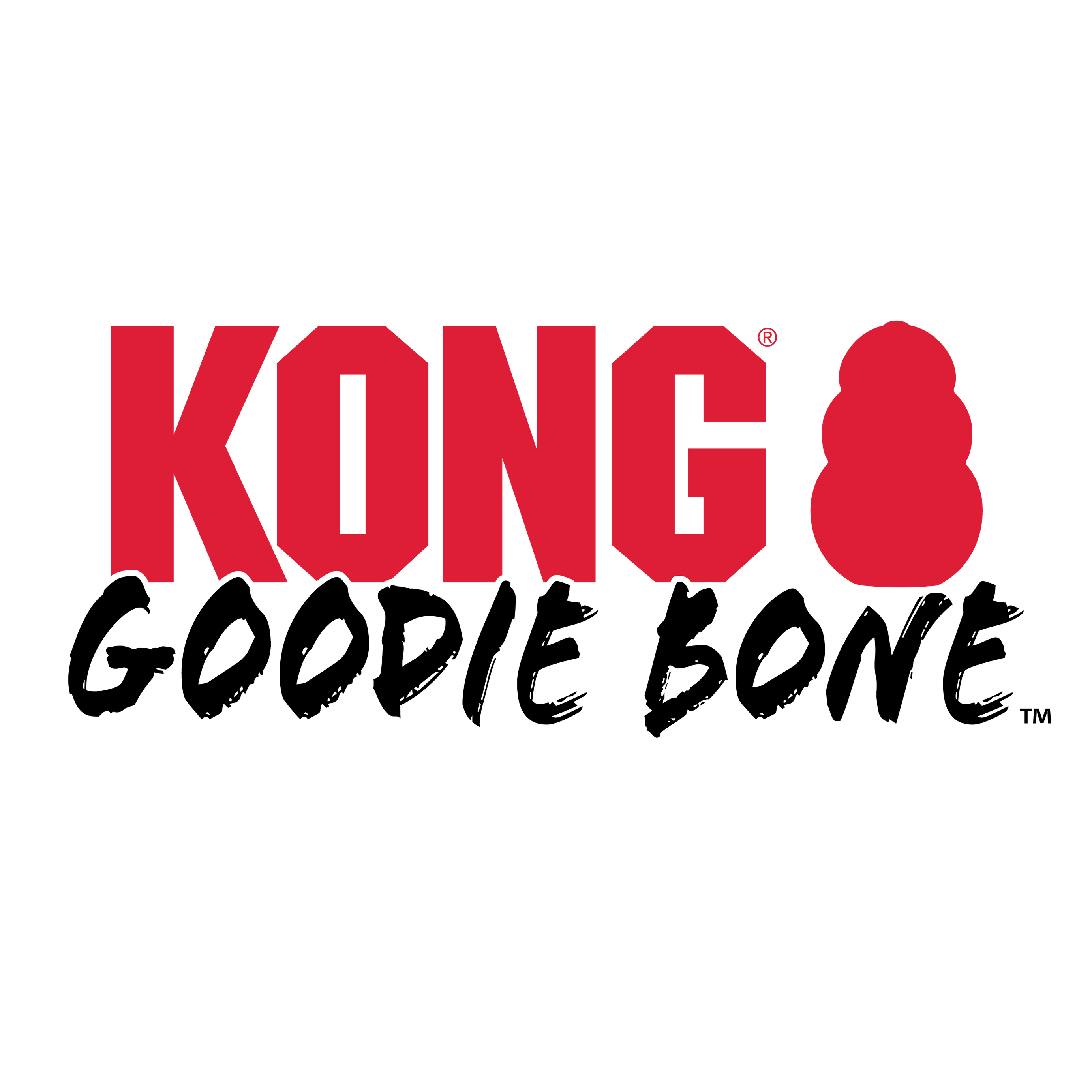 KONG EXTREME BONE GOODIE