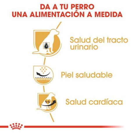 Royal Canin Dog Dalmatian Adult - Ração seca para cão adulto da raça Dálmata