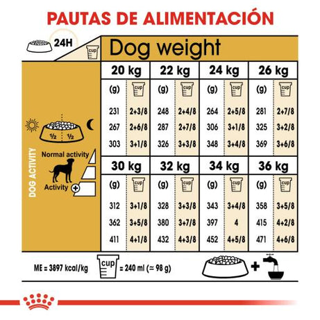 Royal Canin Dog Dalmatian Adult - Ração seca para cão adulto da raça Dálmata