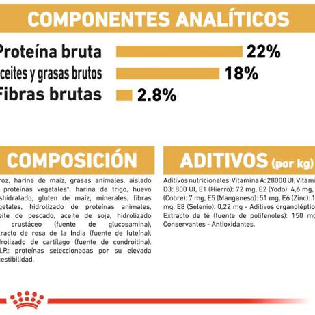 Royal Canin Dog Dalmatian Adult - Ração seca para cão adulto da raça Dálmata
